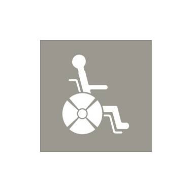 Pictograma para aseo de discapacitados de acero inoxidable satinado