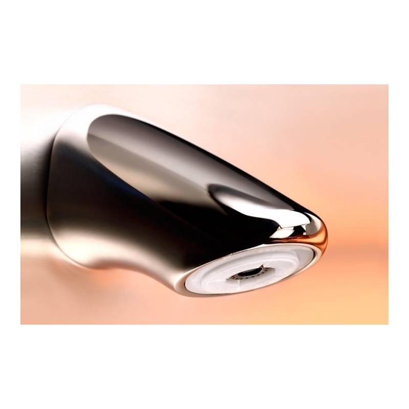 Rociador para ducha referencia 29401 PRESTO